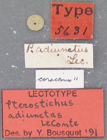 Media type: image;   Entomology 5631 Aspect: labels